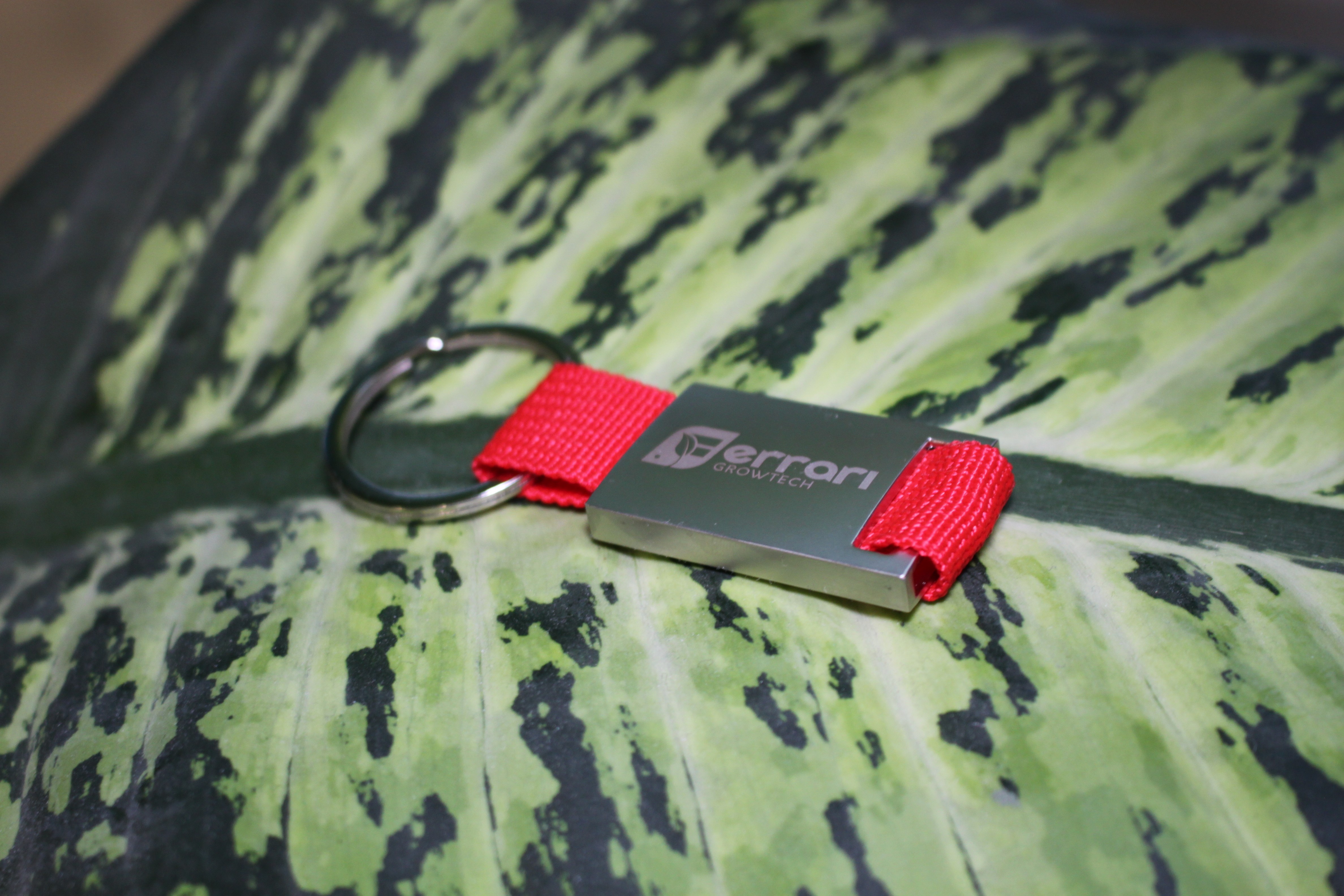 Portachiavi Premium FERRARI GROWTECH