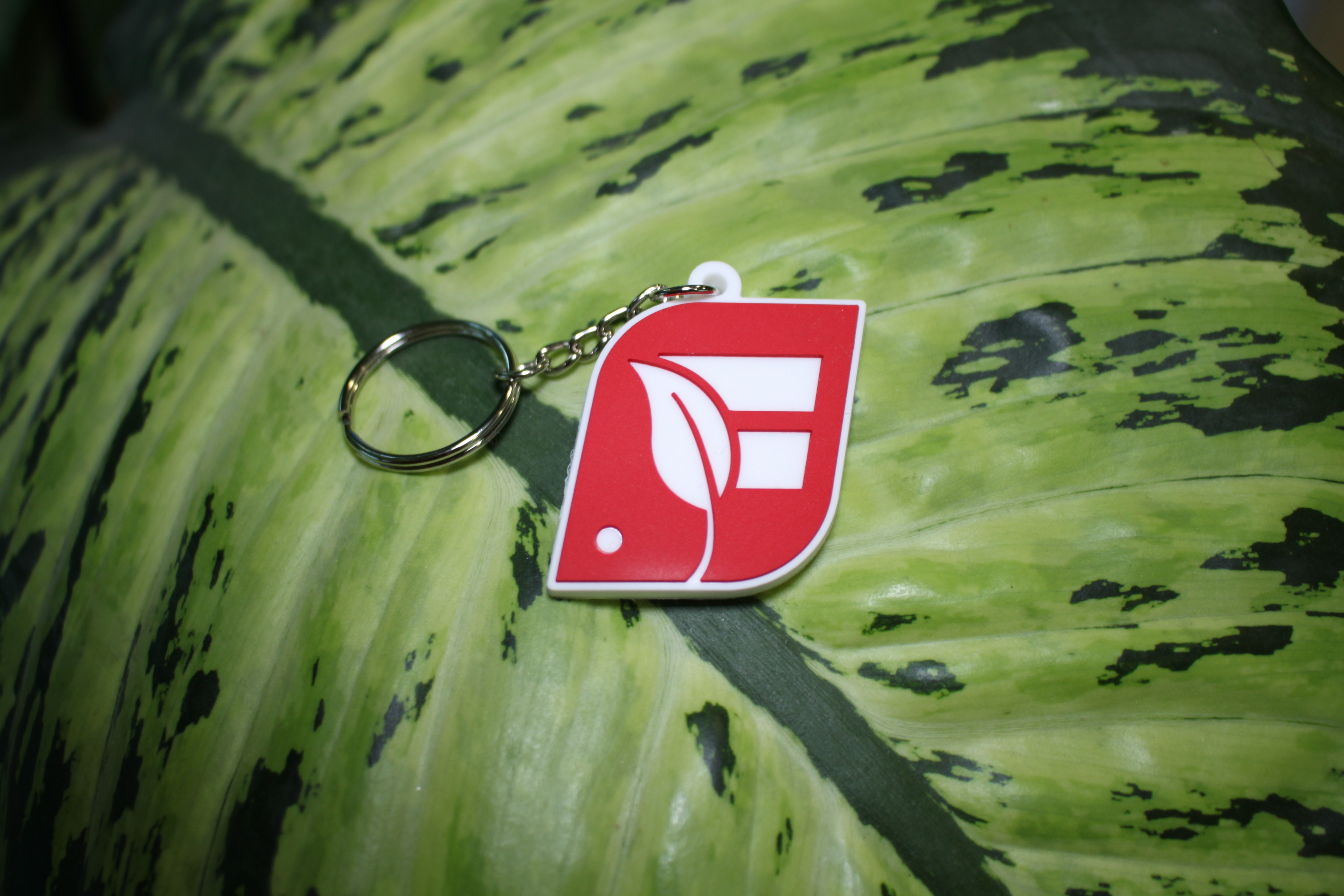 Basic FERRARI GROWTECH keyring