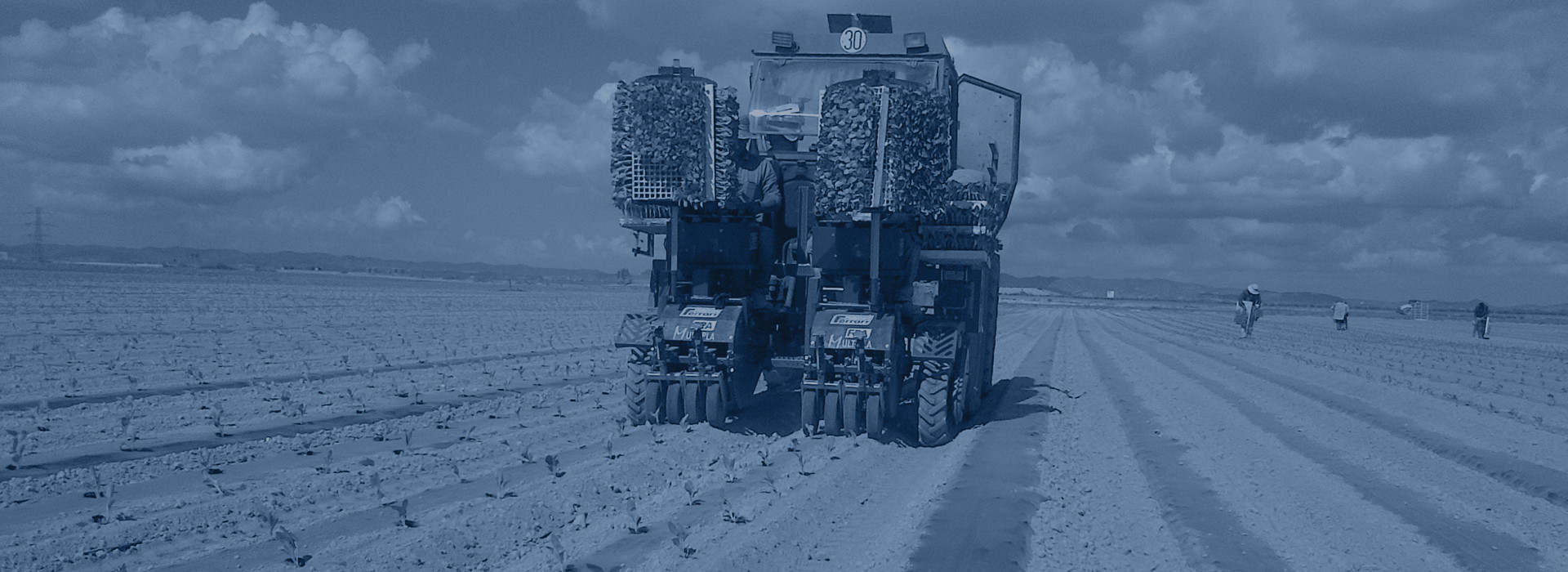 Mechanische Pflanzmaschinen FPA EVO, FPA MULTIPLA und FP Mulch