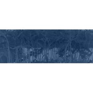 Transplantadoras para cáñamo