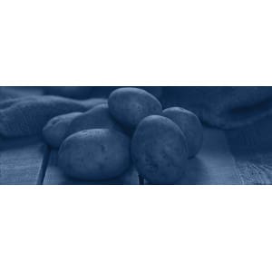 Transplantadoras de batatas