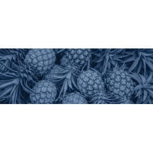 Transplantadoras de piña