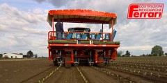 Covid19 settore agricolo: come hanno reagito le imprese?